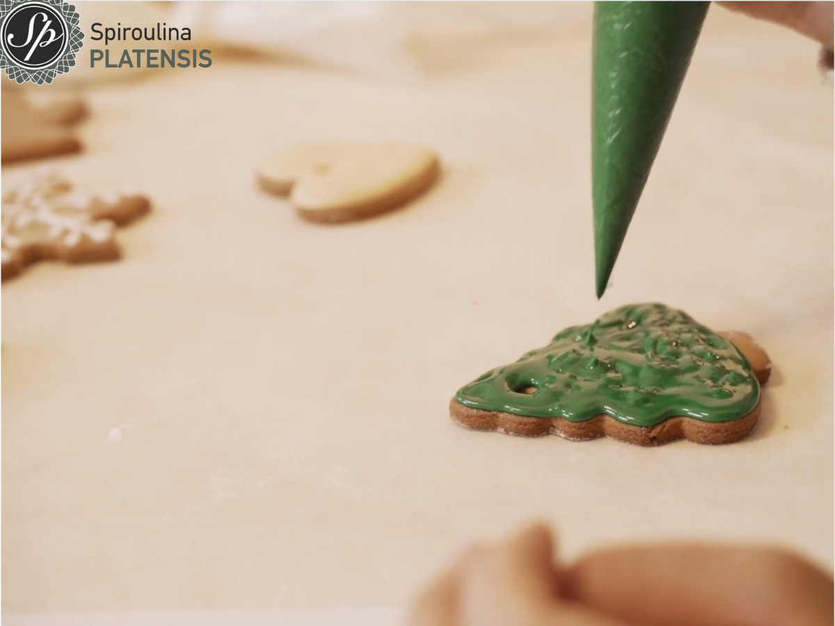 Μπισκότο με πράσινο γλάσο με Spiroulina PLATENSIS