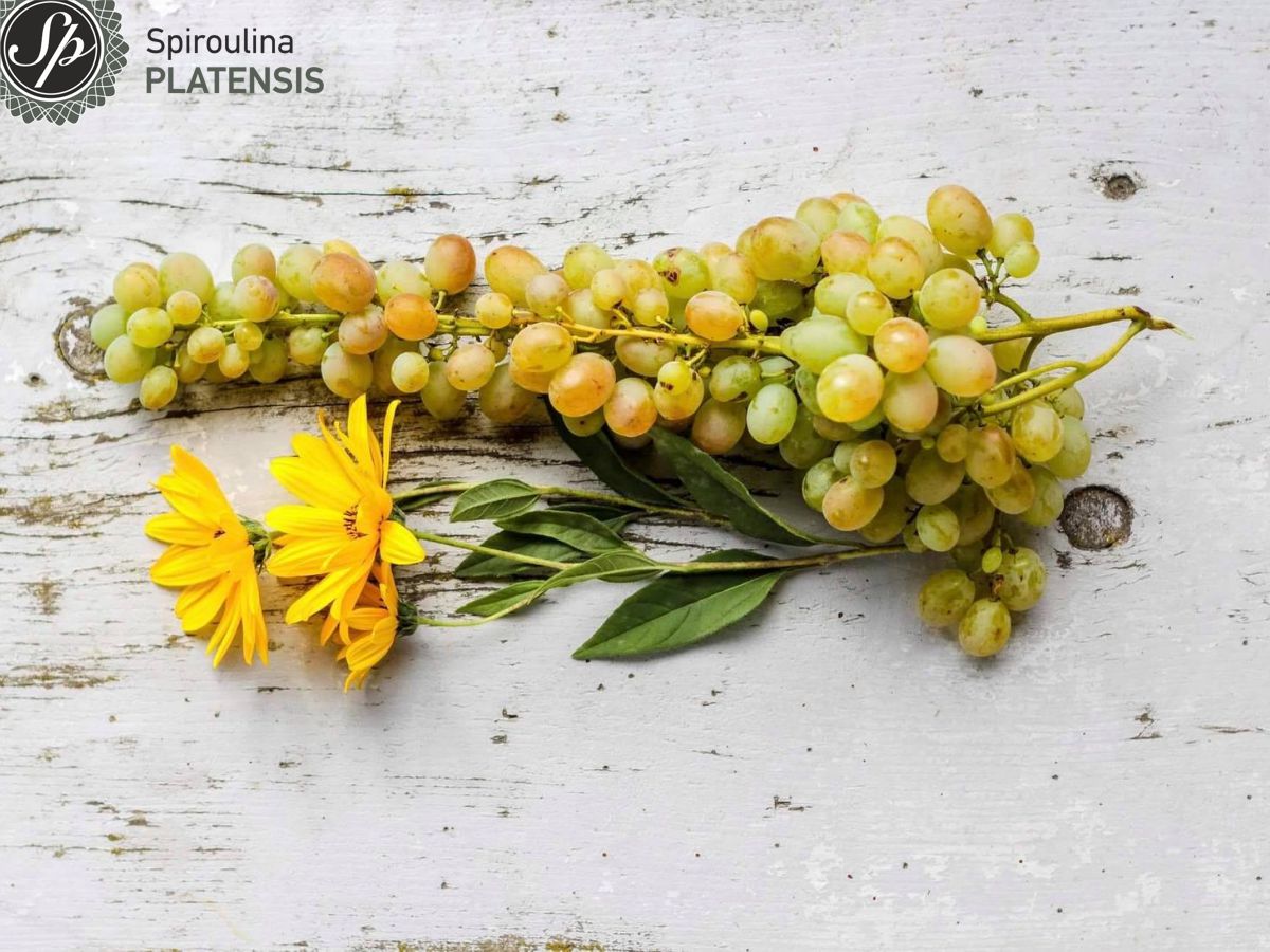 Τσαμπί με πράσινα σταφύλια και μία κίτρινη μαργαρίτα