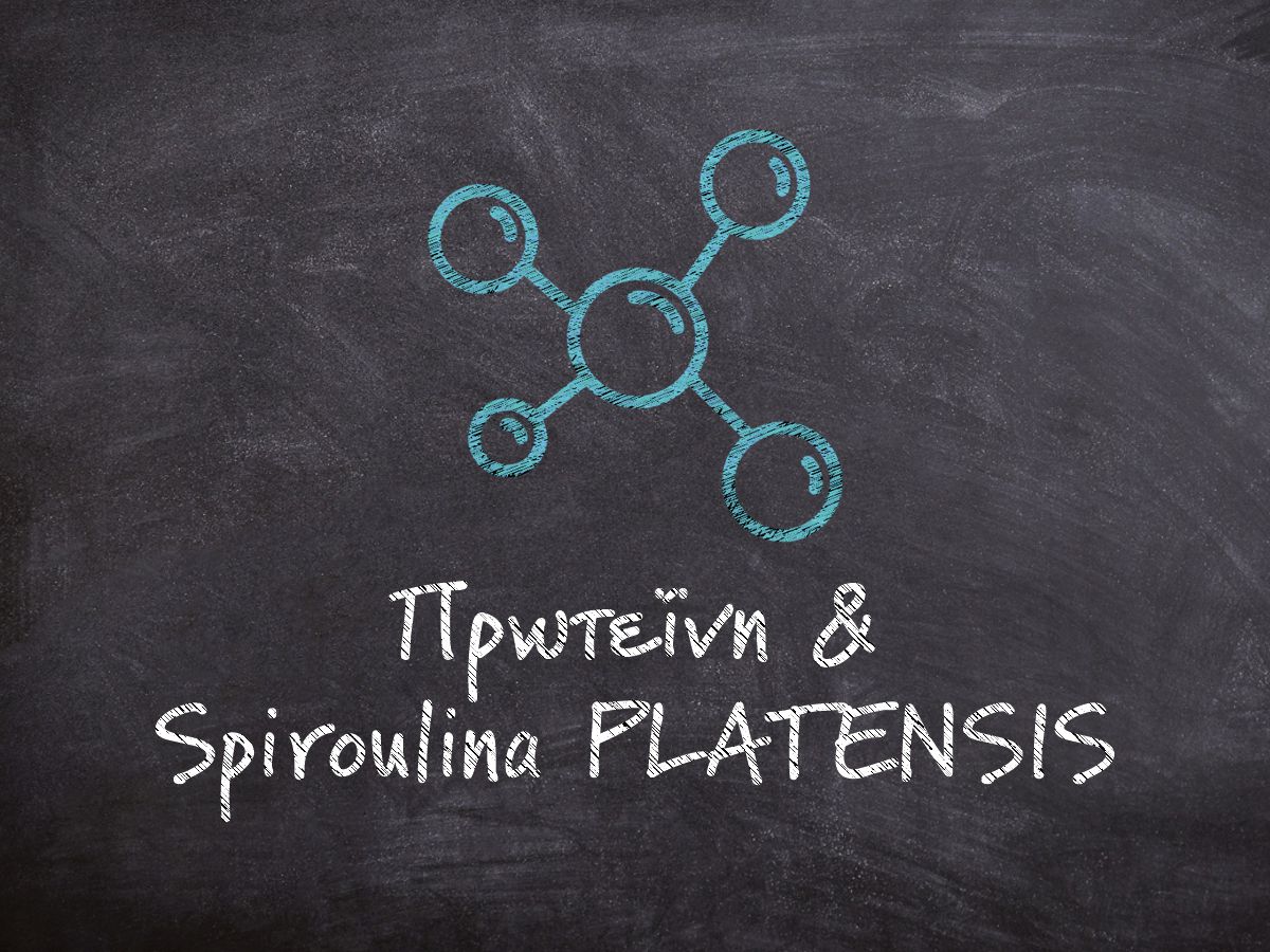 Μαυροπίνακας που γράφει πάνω με λευκή κιμωλία πρωτεΐνη και spiroulina PLATENSIS