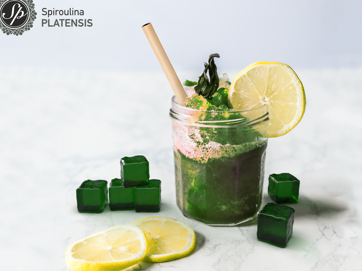 Πράσινο smoothie και πράσινα παγάκια με Spiroulina PLATENSIS σε λευκό πάγκο και φόντο