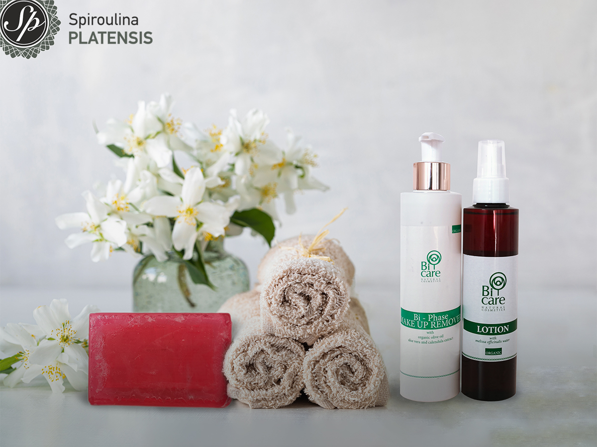 Προϊόντα για τον τέλειο καθαρισμό σε λευκό φόντο πετσέτες σε ρολό και βάζο με λευκά λουλούδια