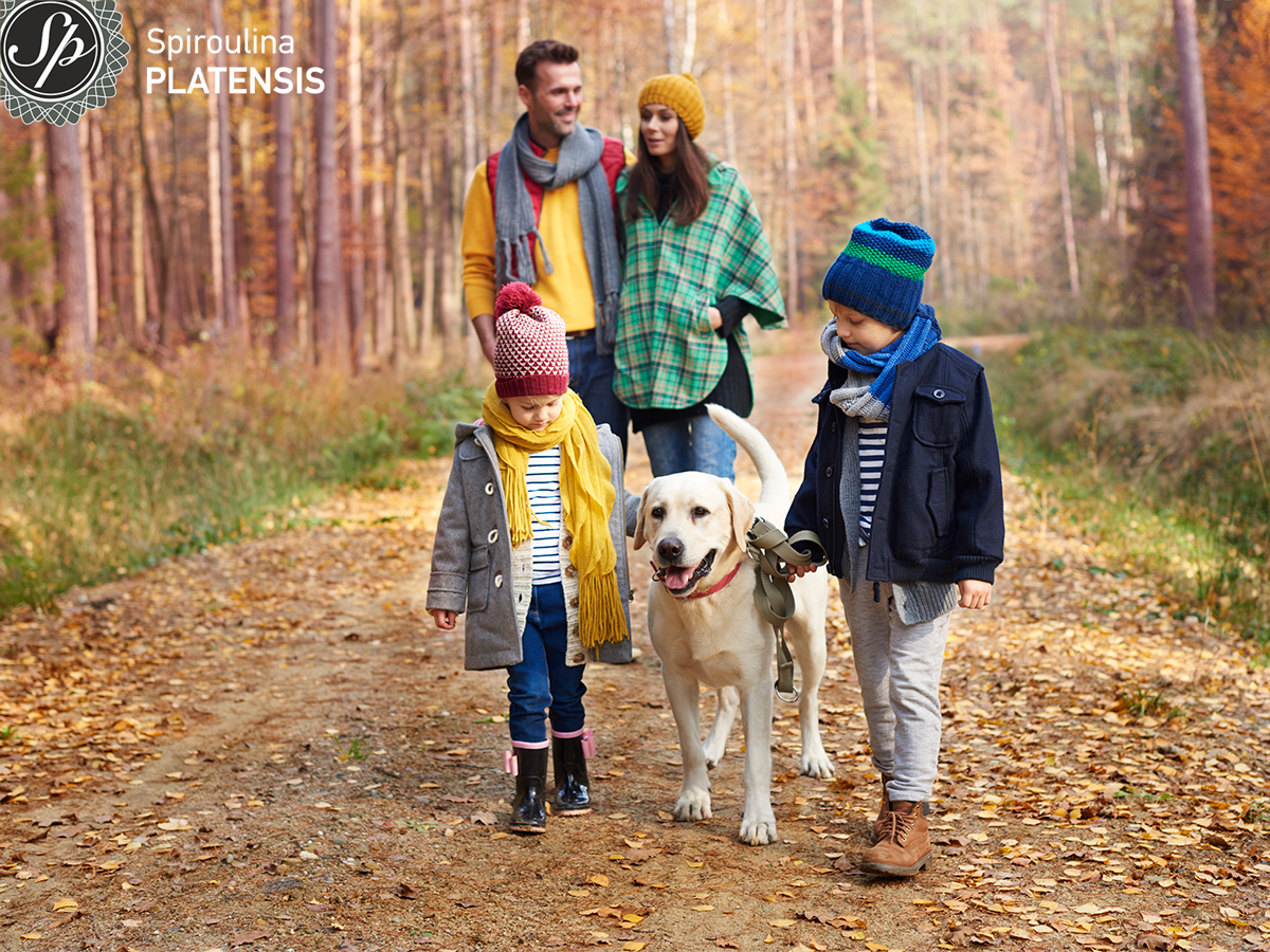 Οικογένεια με σκύλο κάνει βόλτα στο δάσος