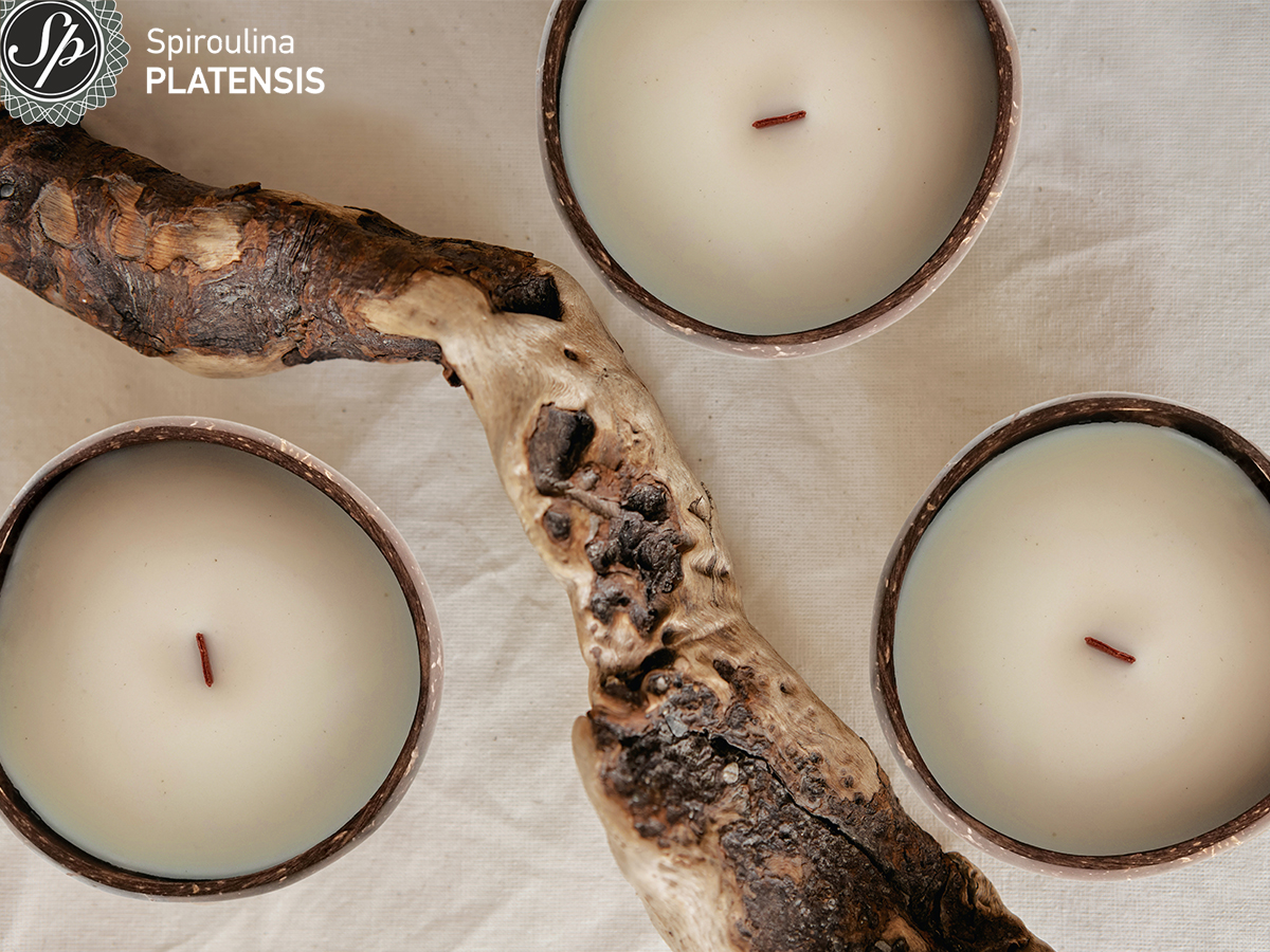 3 κεριά από κοκοφοίνικα