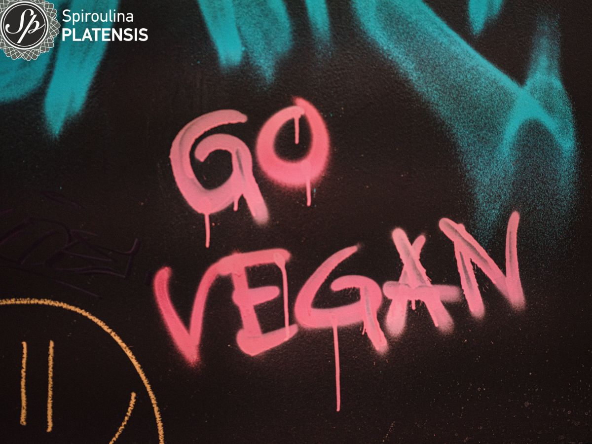 Γράφιτι με ροζ γράμματα σε μαύρο φόντο που γράφει Go Vegan
