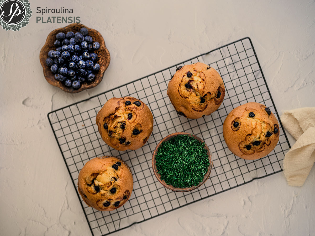Muffins πάνω σε μία σχάρα και δίπλα ένα μπολάκι με Σπιρουλίνα flakes & ένα με blueberries