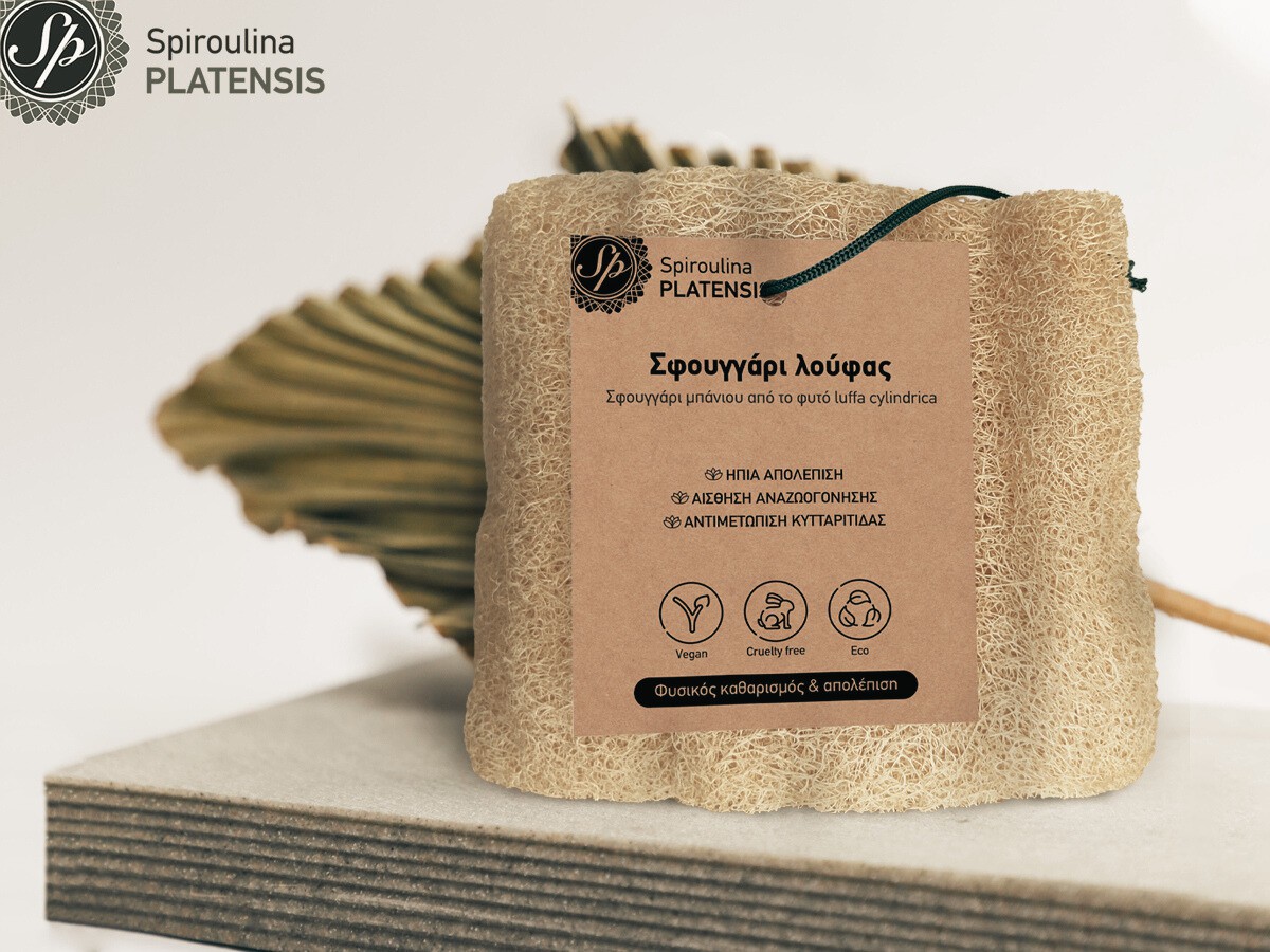 Σφουγγάρι λούφας
